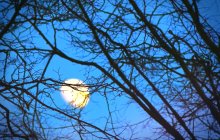 Mond / ***