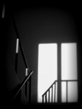 seltener Gast / ***