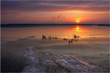 Abend in den Auen der Oka / :-)