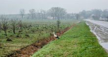 Ein bei schlechtem Wetter / ***