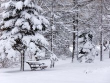 Bench - 2 / ***