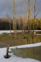 Schubin Teich. / ***
