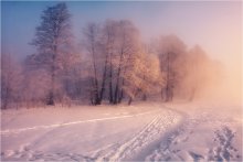 Winter Relax ........................ / ***