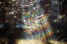 Licht / ***
