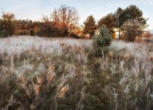 Grauer Morgen / ***
