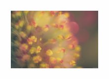 Frühling / Spring
