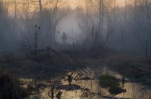 Am Abend Nebel / ***