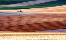 Summer Fields / Summer fields in Burgundy