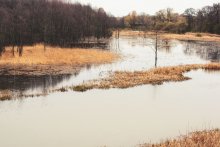 Auf dem Fluss / ***