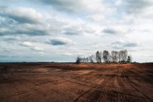 Frühling / .......................
