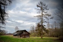 Die alte Scheune / .....