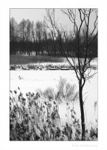Die Linien und Flecken / ***
