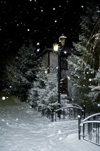 Winter Night / Nikon D3000