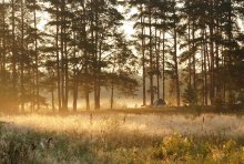 Morgendämmerung / ***