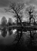 der alte Teich waren drei Eichen ... / ***