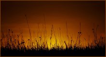 bis morgen / ***