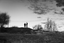 der Teich / ---