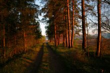 Auf dem Weg zum See / ___________________*