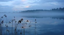 Serie: Nebel Nummer 7 / ,,,,,,,,,,,,,,,,,,,,,,,,,,,,,