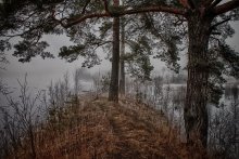 MYST / ***