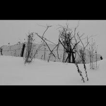 Funeral Winter- / -------