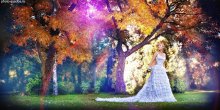 Besuch Märchen / ***