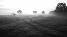 Morgen Spur / ____________________*