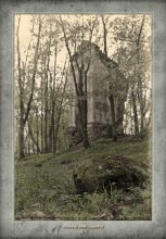 Burgruine Tyshkevich. 2012 / ***