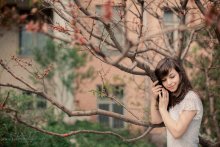 Maid in den Baum / ***