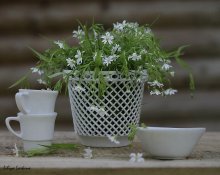 Mit weißen Blumen / ..........................