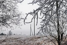 Winter / ***