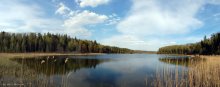 Forest Lake / ***