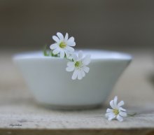 Drei Mädchen unter dem Fenster .... / ...............