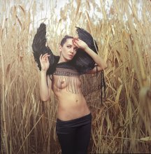 swan / model: Chernika