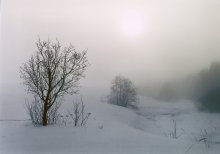 "Winter Mist" / ***