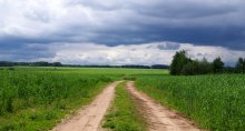 Auf dem Weg nach Hause / ,,,,,,,,,,,,