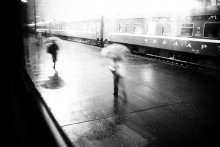 Regen / ***