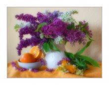 mit Orangen und Flieder / ***