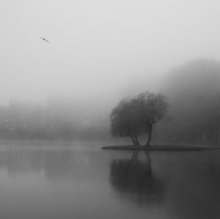 Morgen Nebel / ***