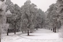 Frost / ***