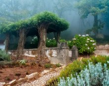 Garden / ****