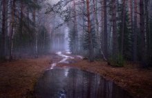 Am frühen Morgen des letzten Schnee / ***