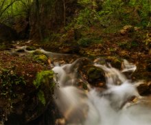 Über dem silbernen Gebirgsfluss / ***