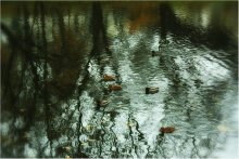 Im Herbst Himmel ist traurig, Segeln ... / ..................