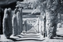 another word / IR foto kislovodsk
