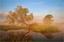 Mai Morgen / ***