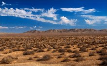 Auf der Prairie / *****