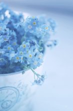 bleu / ^^^^