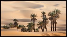 Oasis 4 ... / ***