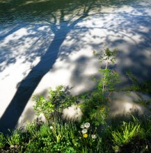 Farbige Umarmung Wasser, Erde und Sonne / ***